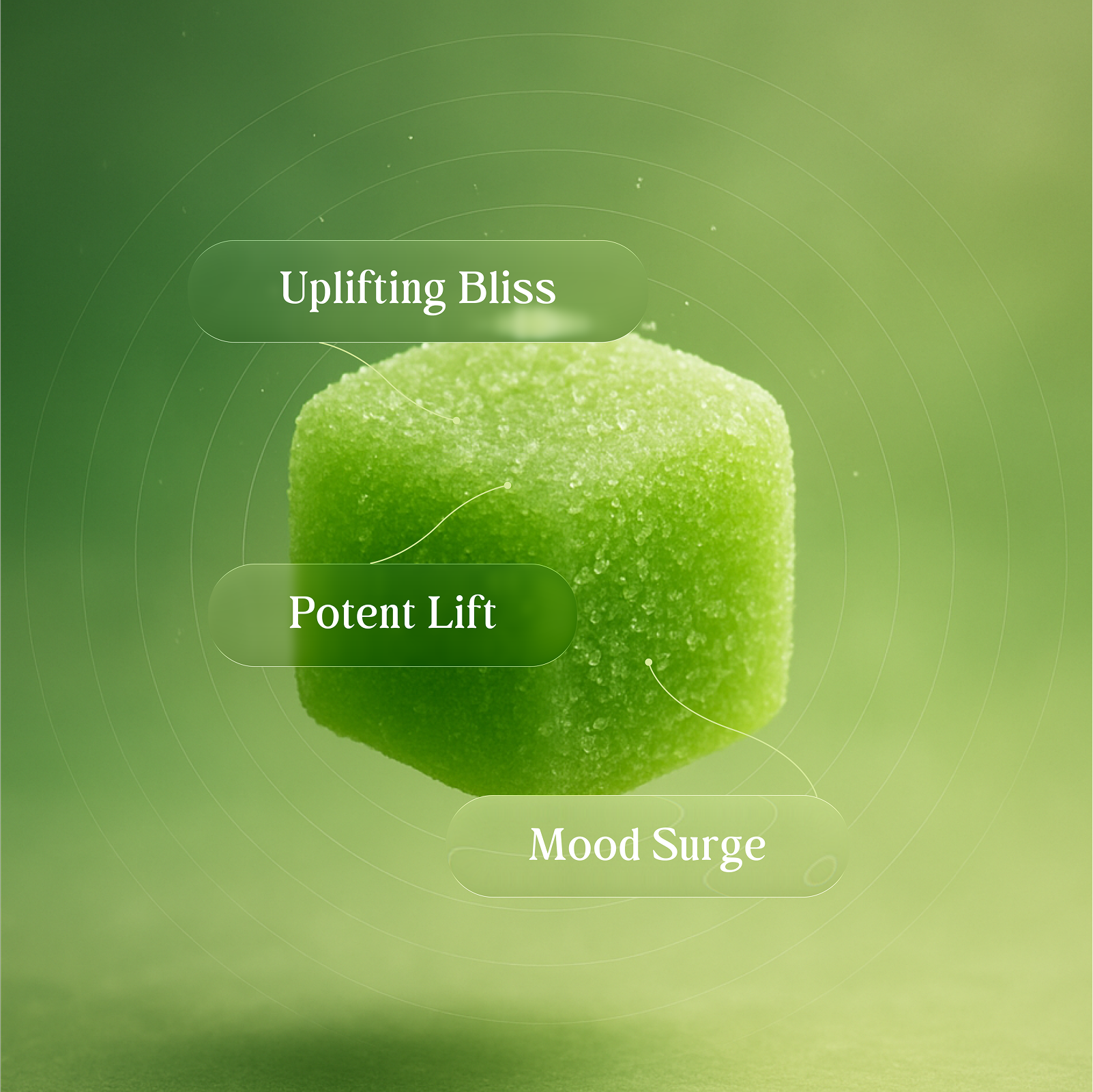 Edify Joy+ Green Apple Gummy For Uplifting Bliss Potent Lift And Mood Surge