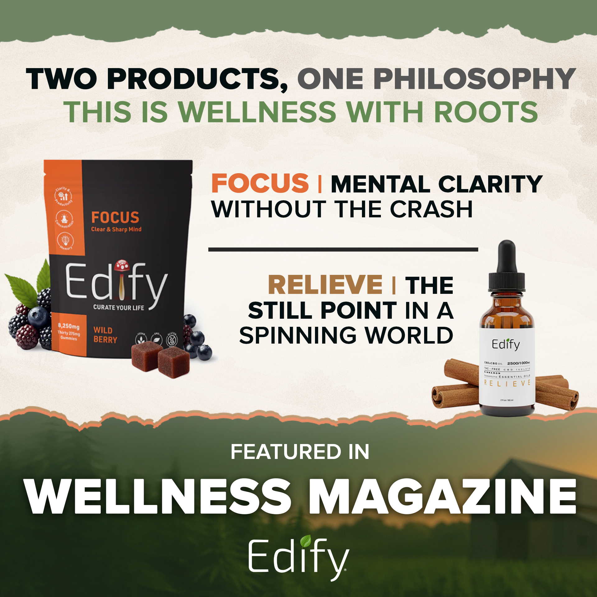 Featured in Wellness Magazine