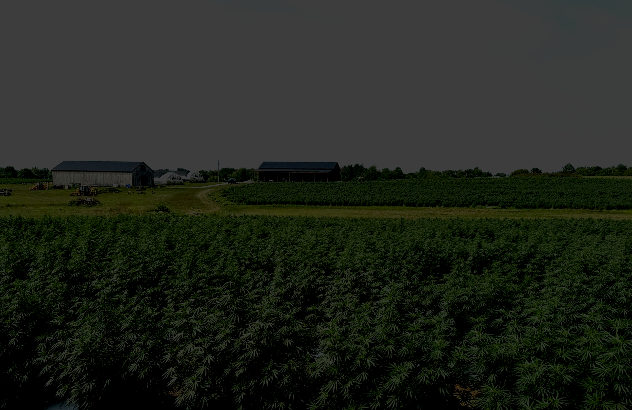 Featured in Wellness Magazine