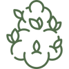<p>Whole<br/>Flower</p>