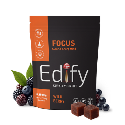 lion’s mane mushroom gummy with chaga and ashwagandha for focus and clarity