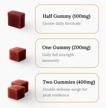 Focus gummies