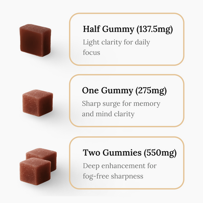 lion’s mane mushroom gummy dosage with chaga and ashwagandha for focus