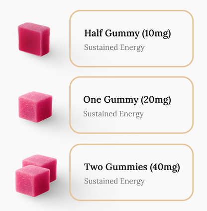 Edify Boost Raspberry Gummies Dosage Chart 10mg 20mg 40mg