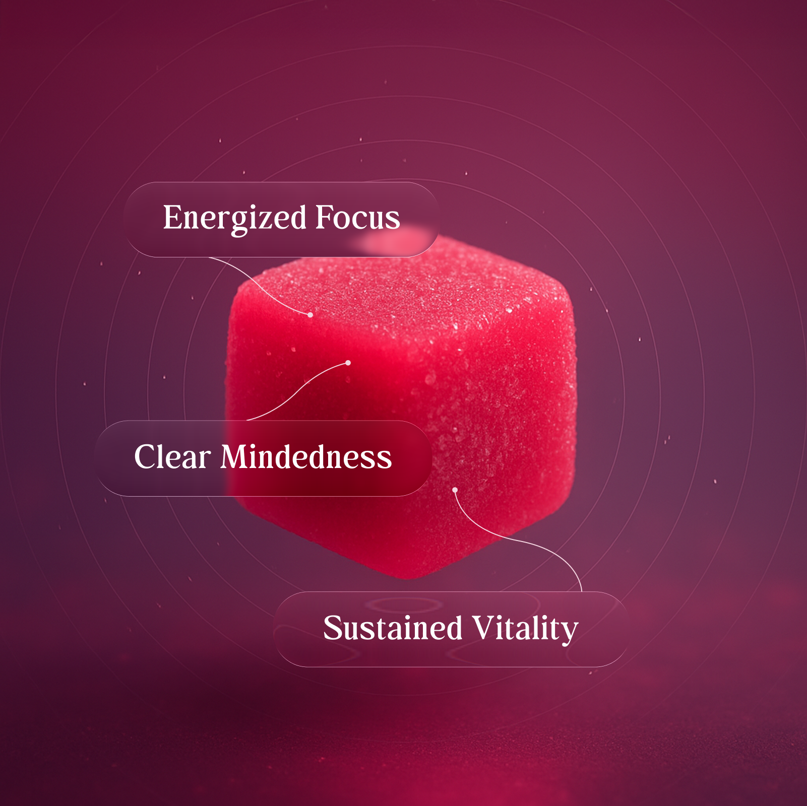 Edify Boost Raspberry Gummy For Energized Focus Clear Mindedness And Sustained Vitality