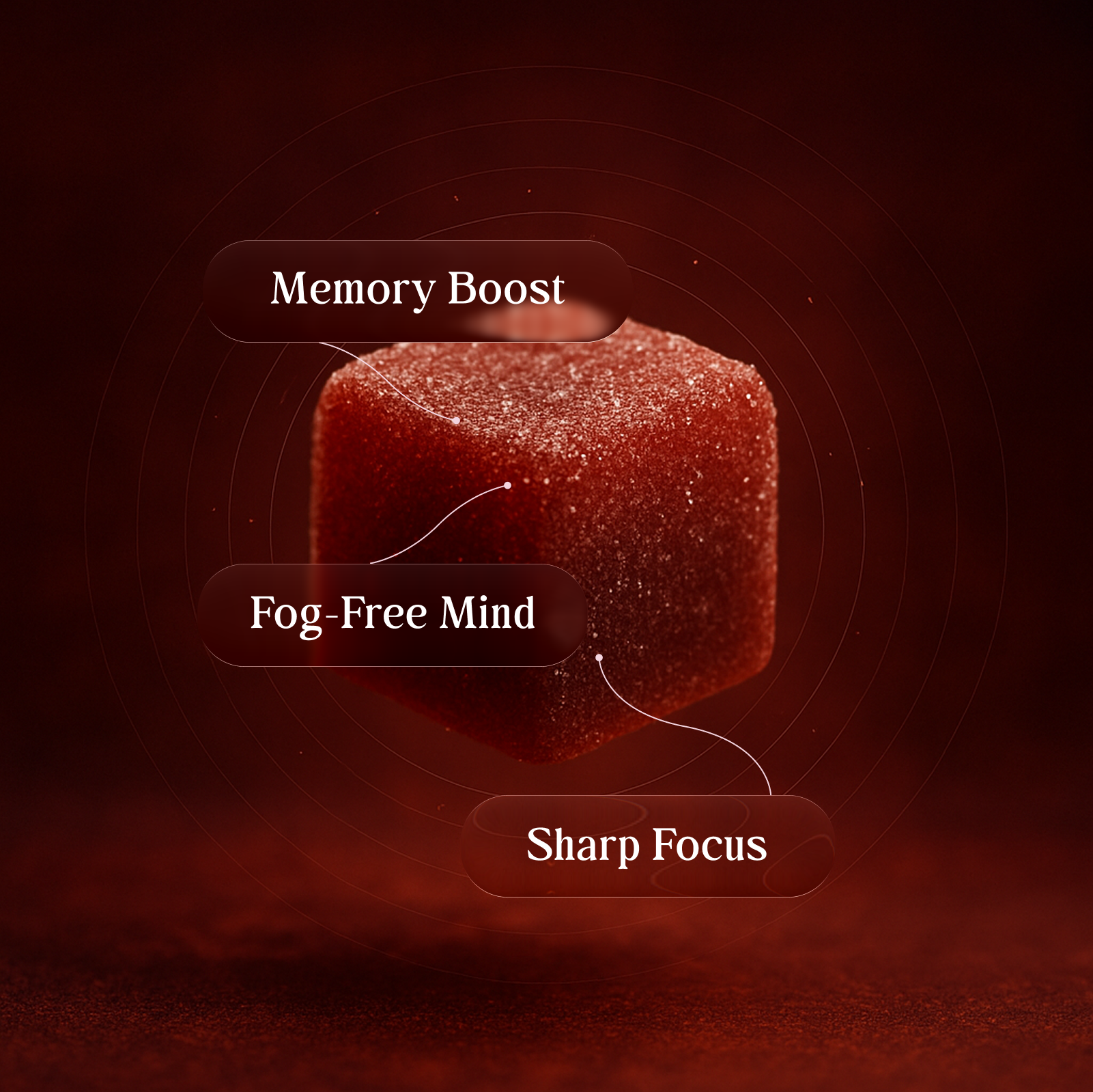 Edify Focus Wild Berry Gummy For Memory Boost Fog-Free Mind And Sharp Focus